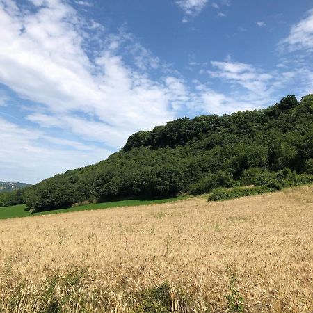 Agriturismo L'Esinante Cupramontana Bagian luar foto