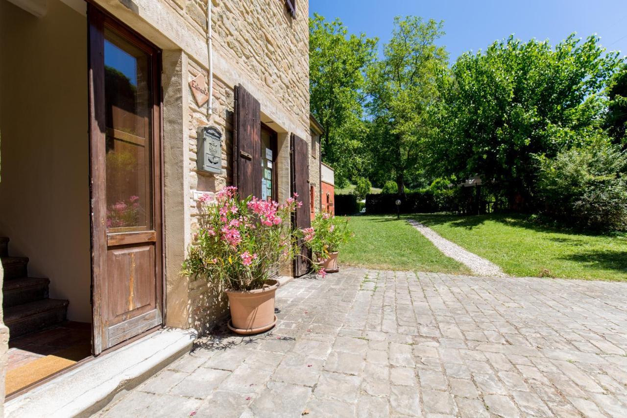 Agriturismo L'Esinante Cupramontana Bagian luar foto