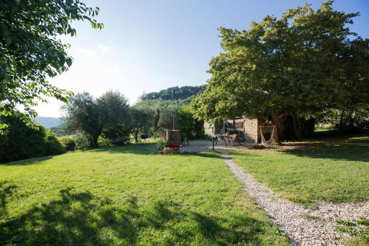 Agriturismo L'Esinante Cupramontana Bagian luar foto