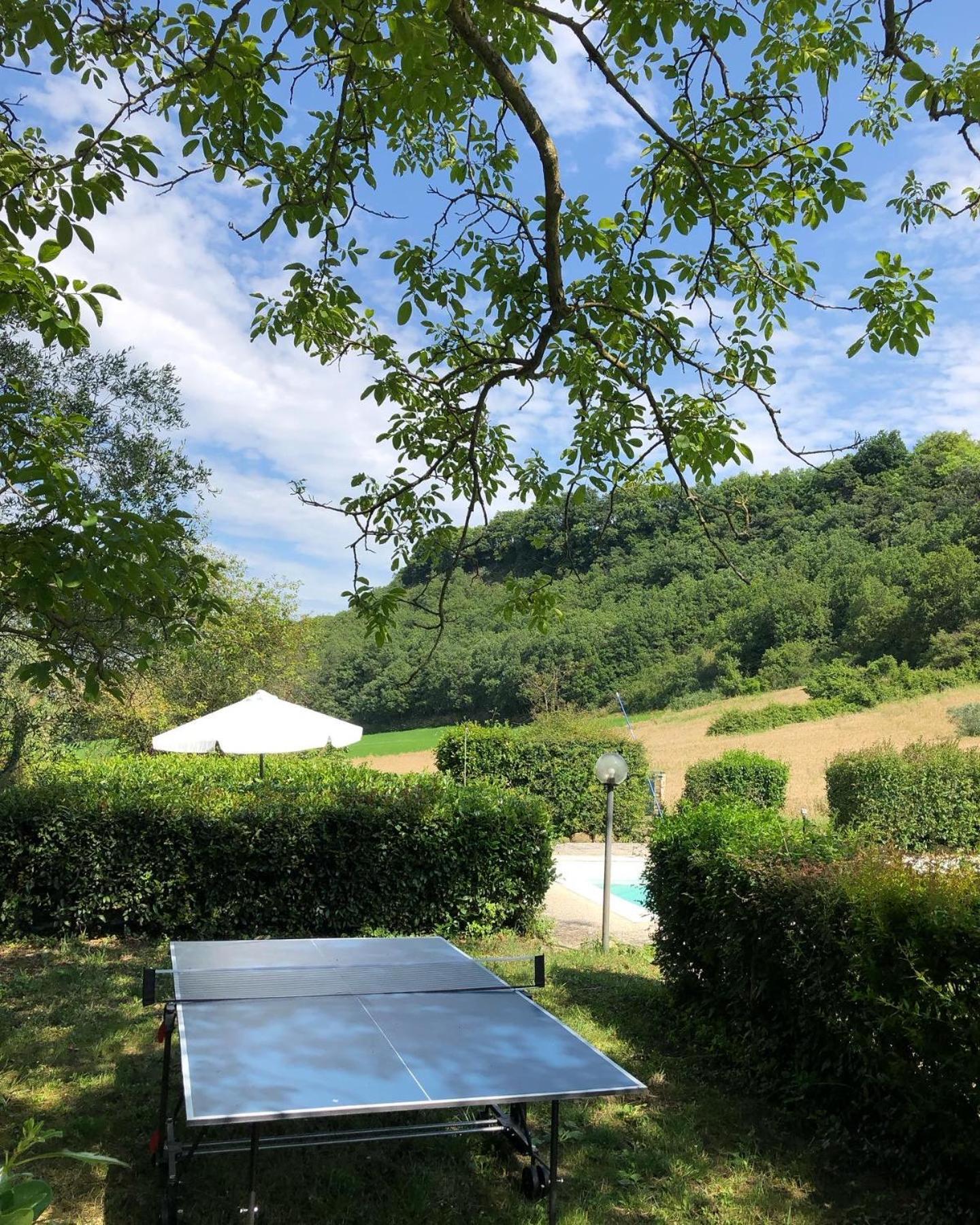 Agriturismo L'Esinante Cupramontana Bagian luar foto
